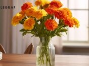 Эти цветы обладают мощной энергетикой.