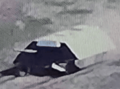 "Сараїв" стає все більше