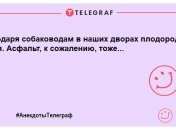 "Стукайте голосніше — у дворі глухий пес": ульотні жарти про братів наших менших