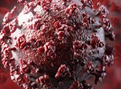 Украина поставила недельный рекорд госпитализаций и случаев успешного лечения коронавируса