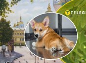 Погода в Україні