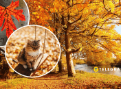 Погода восени