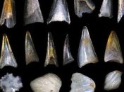 Катастрофа привела рыб к новому "золотому веку" 