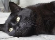 П'ятниця 13: прикмети та забобони