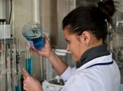 Антиоксидант лечит язву желудка