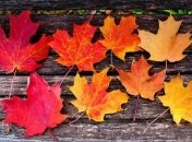 Прогноз погоды в Украине на 13 сентября: ожидаются небольшие дожди 