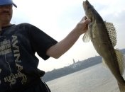 Три рыбака нанесли ущерб на сумму свыше 800 000 грн 