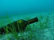 В Балтийском море обнаружили необычную находку