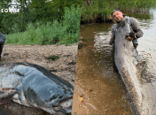 Поляк Міхал Челковський спіймав величезного сома