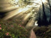 1 июля 2015, примета дня. Ярилин день — день сверхъестественных событий