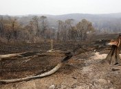 Австралия сильно пострадала от лесных пожаров (Фото)