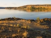 Биологи из США открыли новый вид бактерий, производящих водород