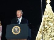 Трамп зажег огни на главной рождественской елке США (Видео)