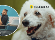 Скандал в Одессе