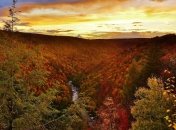 Прогноз погоды в Украине на 9 октября: будет солнечно