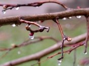 Прогноз погоды в Украине на 14 апреля: синоптики обещают похолодание