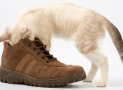 Неприятный запах в обуви