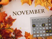 В ноябре 2025 года будет 20 рабочих дней и 10 выходных