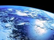 За 40 лет популяция диких животных значительно сократилась