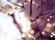 Прогноз погоды в Украине на сегодня: на севере и востоке солнечно