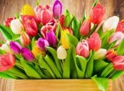 С 8 марта: красивые поздравления на украинском языке, открытки