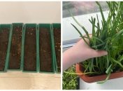 Бізнес 12-річного киянина