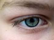 Натуральные витамины для улучшения зрения и их свойства