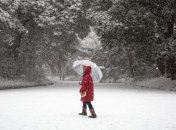 Японская столица оправляется после сильнейшего снегопада