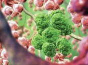 Смартфон научили диагностике рака по ДНК