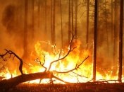 Россия опять горит: пострадавшая от пожаров площадь сопоставима с территорией Греции