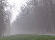 ГАИ призвала водителей быть внимательнее на дороге из-за тумана