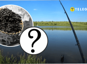 Як веслоніс потрапив у водойми України