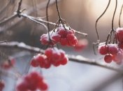 Потеплеет, а потом похолодает: синоптик озвучила прогноз погоды на выходные