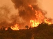 Пожары в Калифорнии уничтожили более тысячи домов