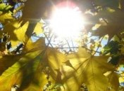 В Украине в начале осени сохранится летняя жара