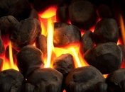Уникальный способ превращения солнечной энергии в биотопливо