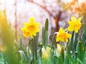 Что можно и нельзя делать 2 апреля