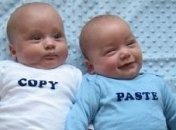 Две пары близнецов родились в один и тот же день