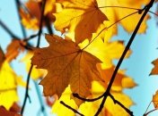 Какой праздник 13 ноября: народные приметы и запреты