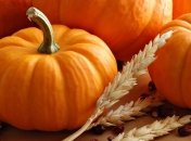 Врачи рассказали о пользе тыквы для мужского здоровья