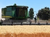 В НБУ рассказали, как рекордный урожай повлиял на курс гривни 