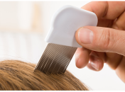 Педикулез у ребенка: как действовать