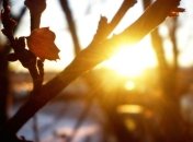 Прогноз погоды на 16 марта: понедельник будет ясным