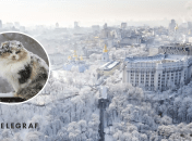 Зима в Киеве