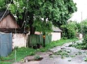В Черниговской области смерч поднял и ударил об землю 2 детей