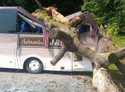 Место происшествия