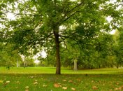 6 сентября. Приметы дня