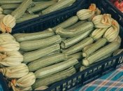 Кабачки также требуют особенного ухода