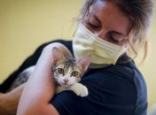 "Вирусная передача в популяциях может стать необратимой": ученые обеспокоены опасностью заражения COVID-19 от животных