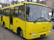 Під час аварії маршрутка була на зупинці